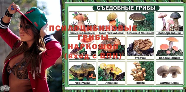 молекула духа Вязьма