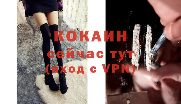 молекула духа Вязьма
